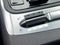 2025 Kia Carnival SX