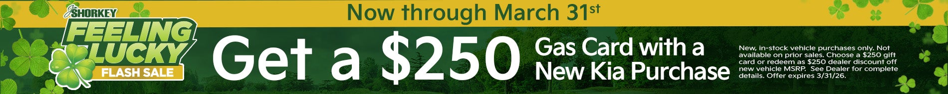 Feeling Lucky Flash Sale - VDP